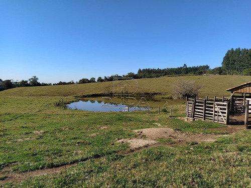 Imagem 9 de 15 de Sitio - Linha Ferreira Pontes - Ref: 31452 - V-31449