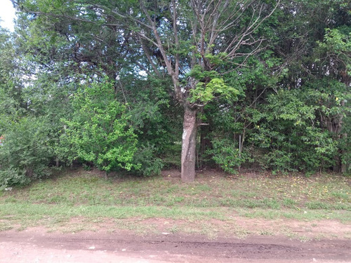 Lote Venta San Ignacio Calamuchita Bien Ubicado A Metros Del Lago De Embalse