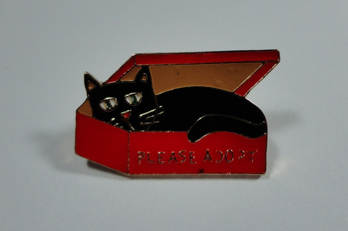 Broche Pin Gato Negro En Caja Moda Bad Bunny