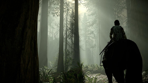 Shadow Of The Colossus Ps4 - Físico - Local (caja De Cartón) (Usado)