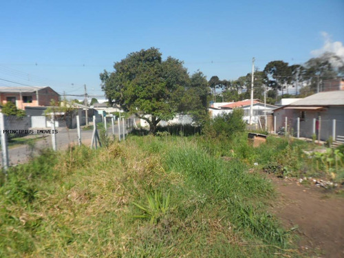 Terreno Para Venda Em São José Dos Pinhais, São Sebastião - 00290_2-1143810