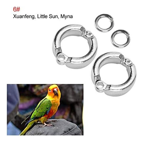 Lorodis Loros Hebilla De Pie, Loros De Acero Inoxidable De