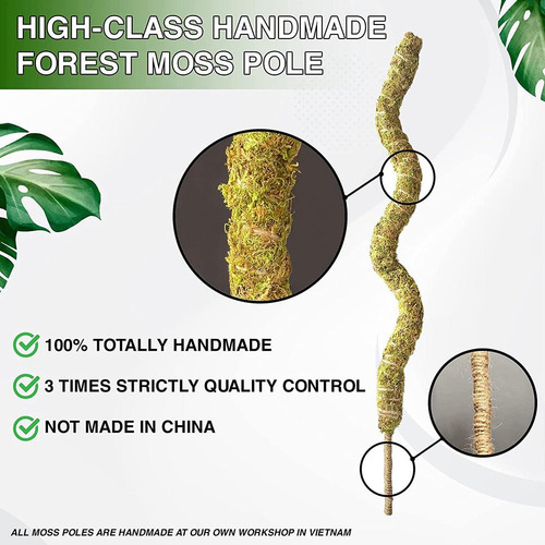 Estacas Flexibles Para Plantas, Auténtico Musgo