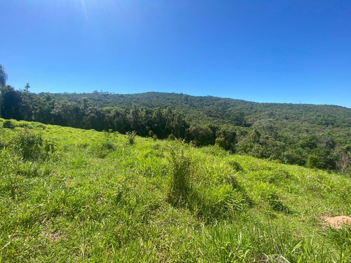 Imagem 11 de 12 de L35 Terreno Barato No Interior 1000m Apenas 45mil Á Vista