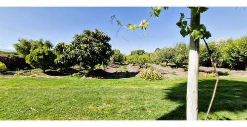 Parcela De 10.000 M2., En Venta En San Pedro, Quillota. Árbo