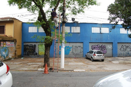 Imagem 4 de 15 de Galpão Vila Caminho Do Mar S.b.campo - 1033-9454