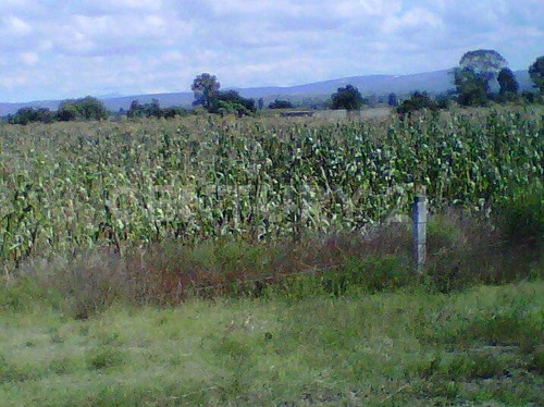 Venta Deterreno En San Martín Texmelucan Mpio. San Matias Tlalancaleca