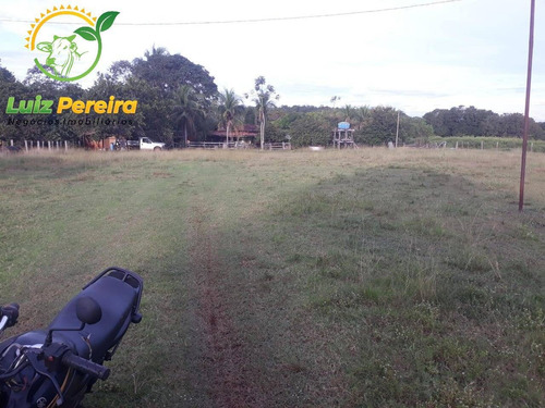 Imagem 6 de 15 de Fazenda À Venda Em Divinópolis - T0 - 1.287,44 Hec (dupla Aptidão) - 1767