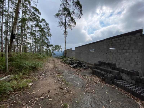 Imagem 9 de 14 de Chácara A Venda Juquitiba