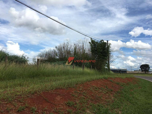 Imagem 4 de 4 de Terreno Comercial À Venda, Piracicaba. - Te0421
