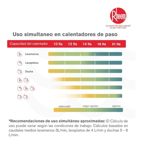 Calentador De Agua 21lt Gas Propano Tiro Forzado Dig Rheem