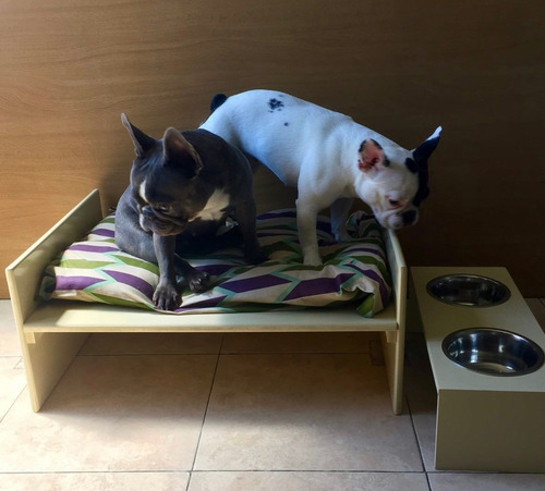 Imagen 9 de 10 de Guarderia Canin Hotel Para Perros Pequeños