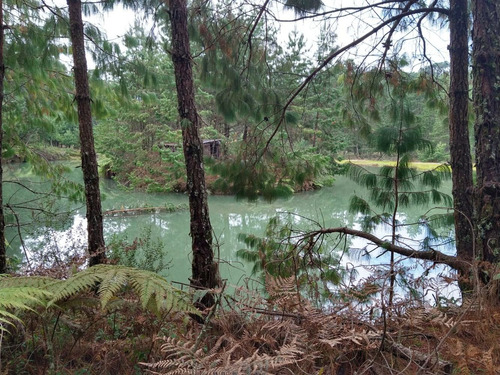 Imagen 11 de 14 de Rancho En Venta En Agua Blanca Pachuca Hidalgo