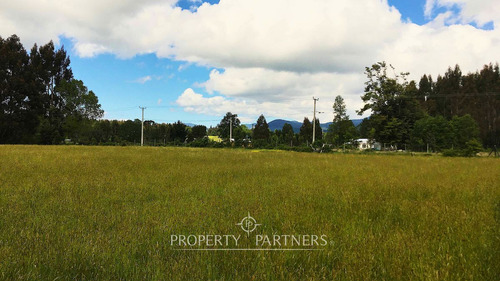 Sitio A 12 Km De Panguipulli, Sector Panguilelfún.