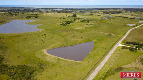 Quinta En Venta En Jose Ignacio