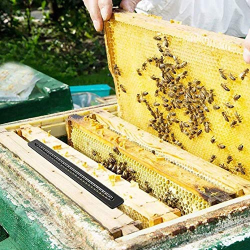 12 Piezas De Herramientas Recolectoras De Colmena De Ab...