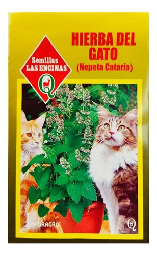 Sobres Semillas Hierba + Pasto Para Gatos