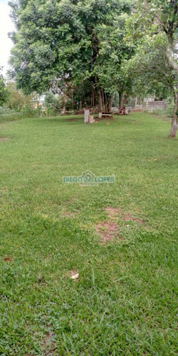 Chácara Em Campo De Santana - Curitiba, Pr - 1099