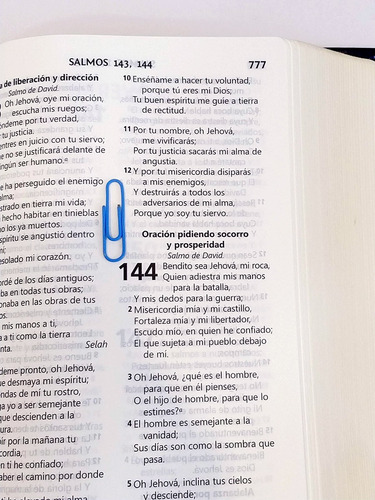 Biblia Grande Letra Grande Negra Tiara Reina Valera 1960