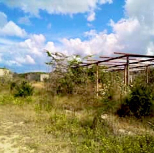 Imagen 6 de 10 de Mundo Inn Vende Terreno En Venta El Mayal