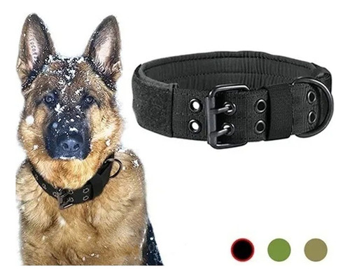 Collar Táctico Militar Para Perro Ajustable Hebilla Metalico