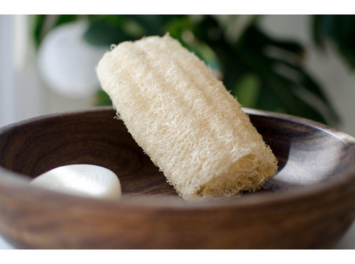 Esponja Vegetal Luffa Exfoliante Cocina Zero Waste Kompost®