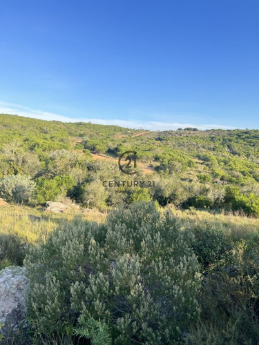 Imagen 3 de 3 de En Venta Chacra De 5 Has En Las Cañas