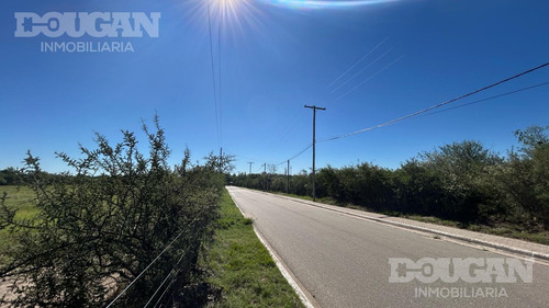 Terreno En Venta / Carpintería - San Luis