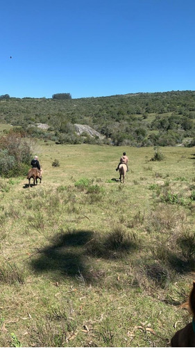 Imagen 5 de 19 de Quinta En Venta En Aiguá