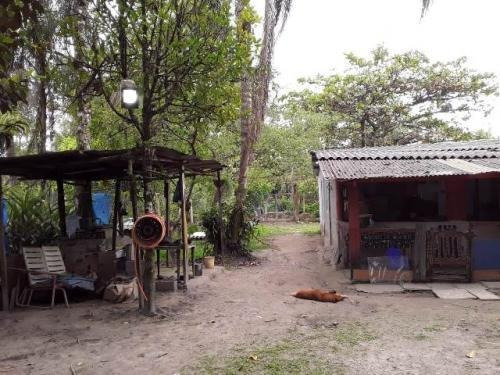 Chácara Em Itanhaém Lado Serra Com 3 Dorm E 1000m² 7112