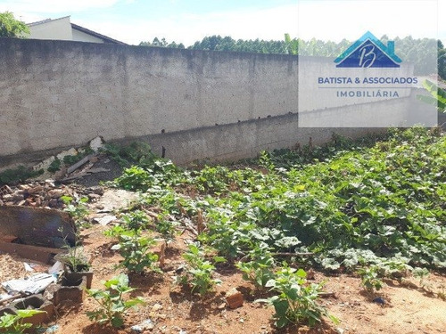 Imagem 3 de 3 de Terreno A Venda No Bairro Jardim São Camilo Em Hortolândia - 2816-1
