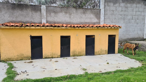 Terreno En Venta Tlalpan Santo Tomas Ajusco