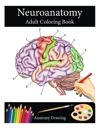 Libro: Neuroanatomía: Libro Para Colorear Para Adultos Incre