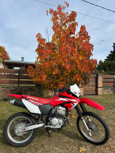 Honda Tornado Xr 250