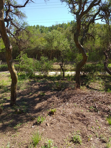 Venta Lote San Javier Traslasierra 1500m2 Las Rabonas Dique La Viña