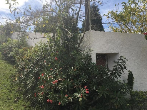 Imagem 20 de 30 de Rural Para Venda, 3 Dormitórios, Ana Maria - São Roque - 22456