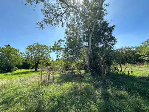 Venta Terreno/lote De 1.7 Hectareas En Trujui