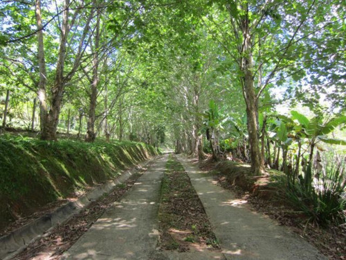 Lindo Sítio À Venda Em Atibaia - St00119 - 69026070