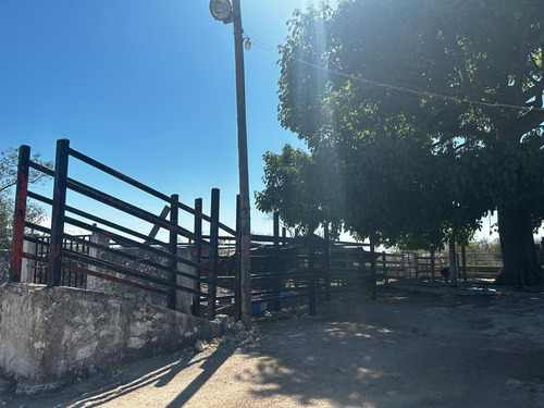 Rancho En Venta Merida, Ixil Para Entrega Inmediata.