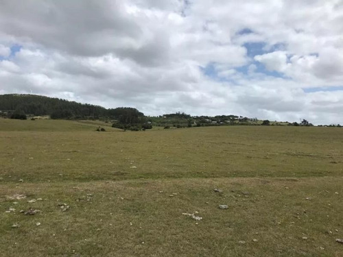 Campo De 35 Hectareas Sobre Ruta 12