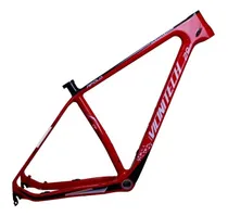 Comprar Quadro Mtb Vicinitech Apólo 29er Carbon Series 2020 Só 1,2kg
