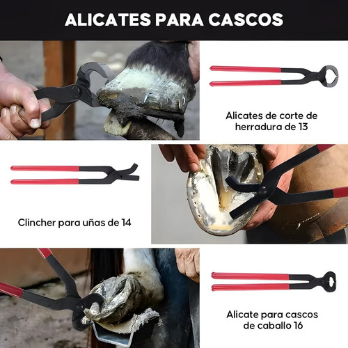Kit De Herramientas Para Herrar Caballos - Pinza Para Cascos