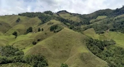 Bloque De 123 Hectareas Para Aguacate Hass En Abejorral