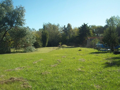 Imagen 3 de 13 de Lote En San Miguel Del Monte