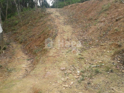 Imagem 20 de 20 de Chácara À Venda No Bairro Brilhante Ii - Itajaí/sc - 2156c
