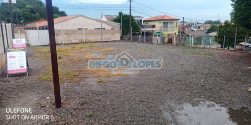 Chácara Em Campo De Santana - Curitiba, Pr - 1099
