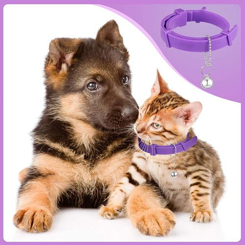 Collar Calmante De Feromona Para Gatos Con 2 Campanas