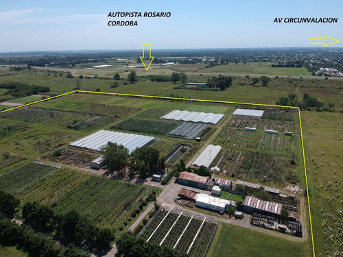 Imagen 2 de 4 de Venta / Permuta - Campo - Rosario