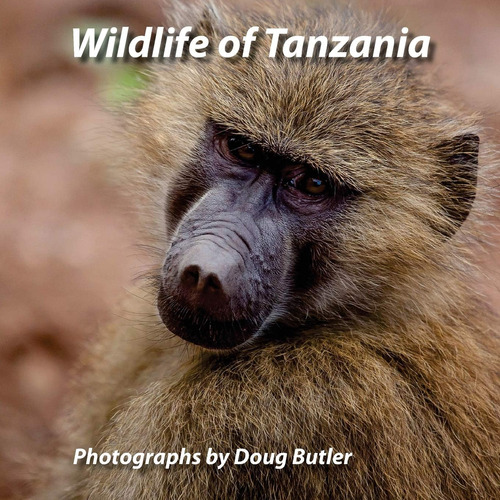 Libro: En Inglés Wildlife Of Tanzania An African Photo Safa