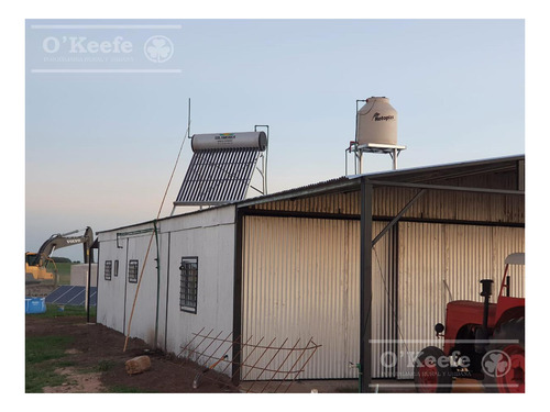 Imagen 14 de 26 de Chacra En Venta En San Nicolas De Los Arroyos - Plantación De Nuez Pecan En Producción